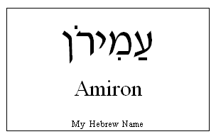 Amiron