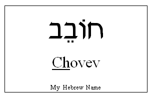AMANDA NAME MEANING HEBREW visual data 5
