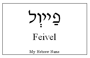 Feivel1