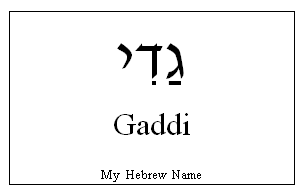 Gaddi
