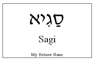Sagy