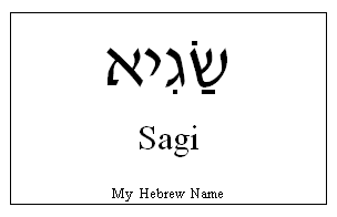 Sagi