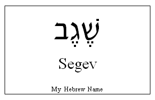 Segev