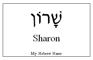 Lee in Hebrew
