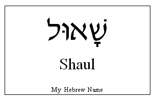 Shaul