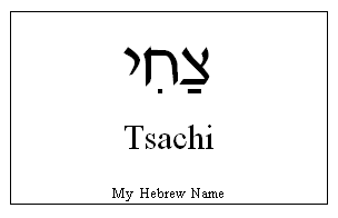 Tsachi