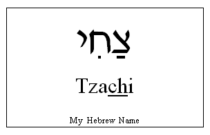 Tzachi