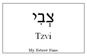 Tzvi